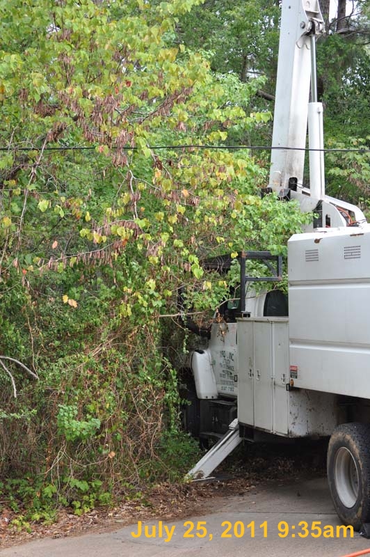 Entergy 086